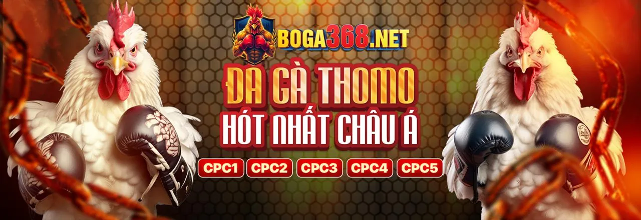 Hình ảnh chính về Đăng Ký W188 Link